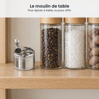 Petit moulin argenté à manivelle sur une étagère en bois à côté de bocaux de poivre, de gros sel et de noix de muscade