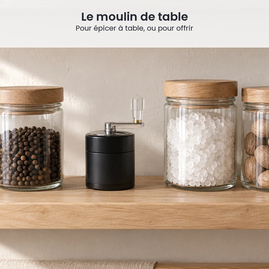 Petit moulin noir à manivelle sur une étagère en bois entre des bocaux de poivre, de gros sel et de noix de muscade