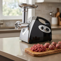 Hachoir à viande électrique 700 W avec kit kebbé, résultat obtenu