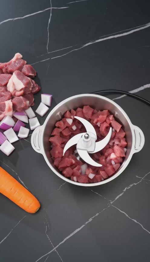Vidéo de démonstration : Hachoir électrique 800 W bol inox 3 L
